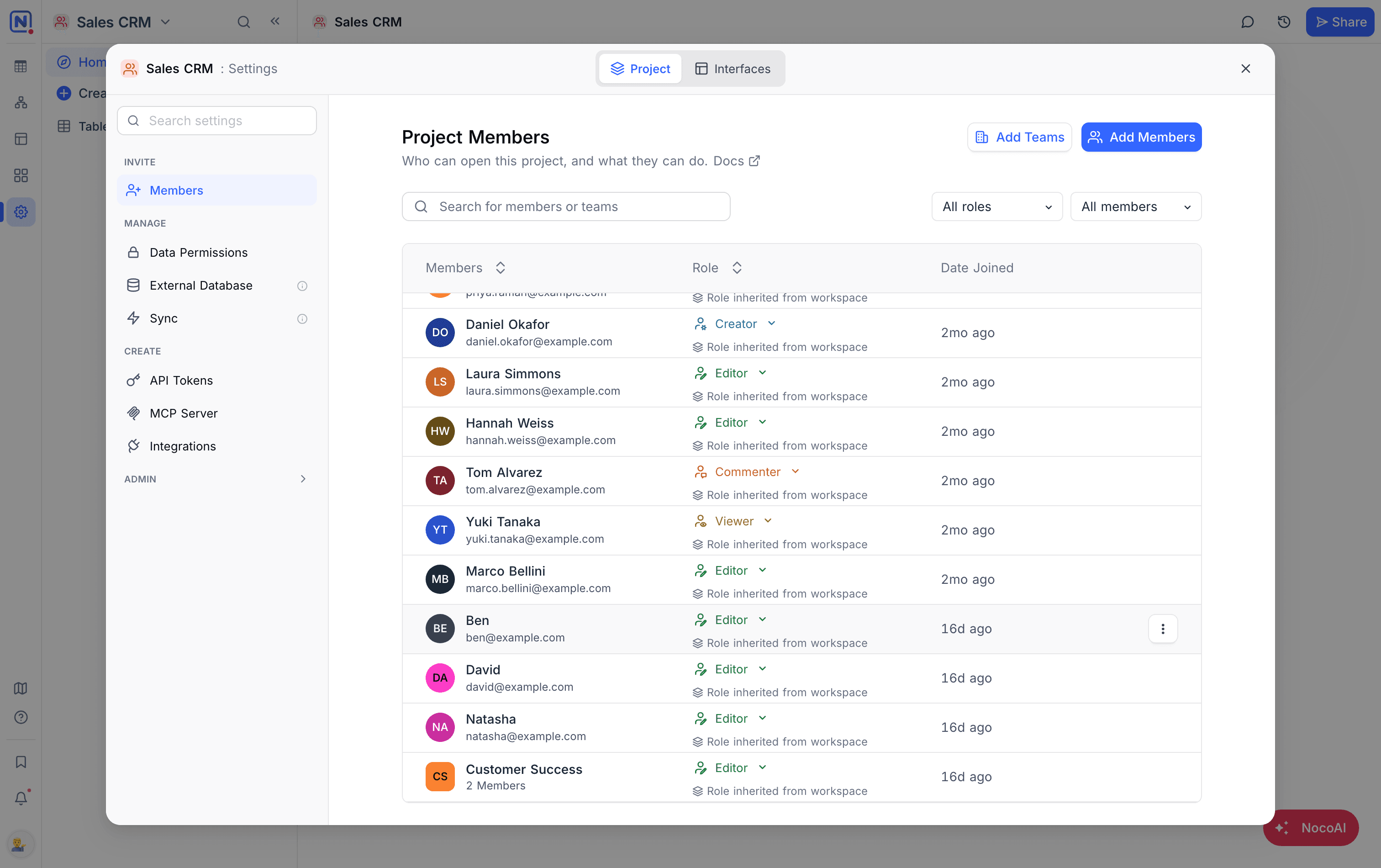 The Project Members list showing members and a team